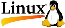 LINUX